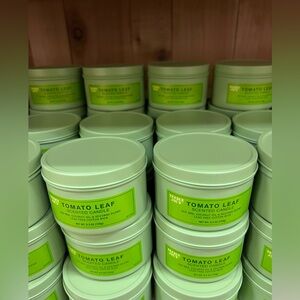 NEW Tomato Leaf scented candle TRADER JOES set of (2)